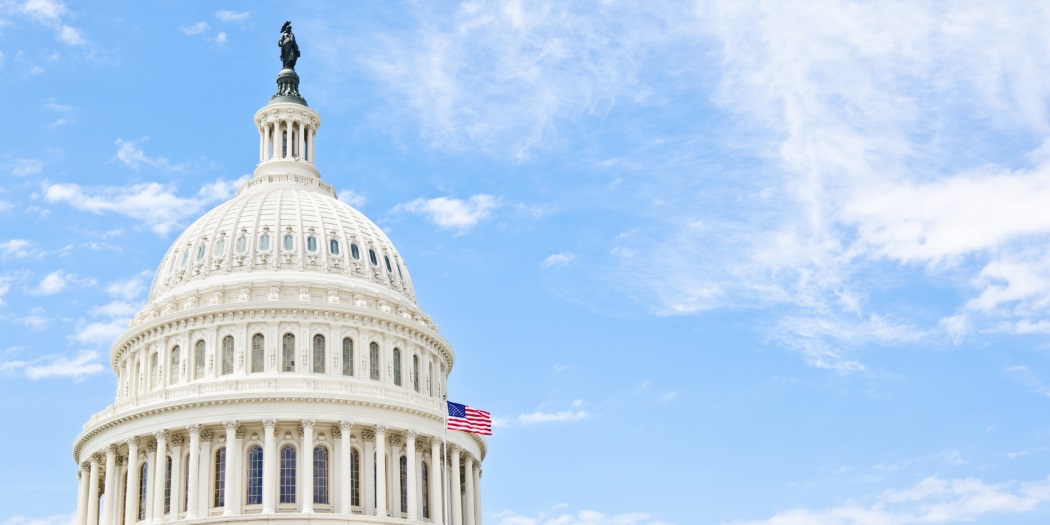 Capitol Dome image 2